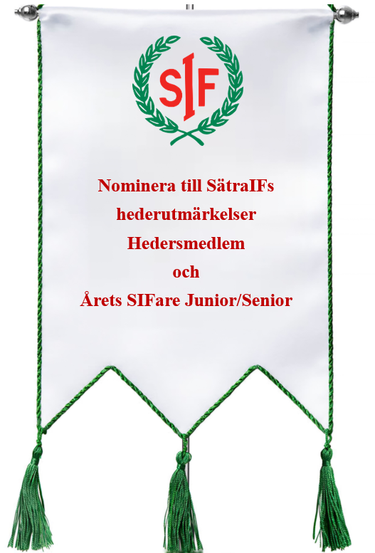 En bild
