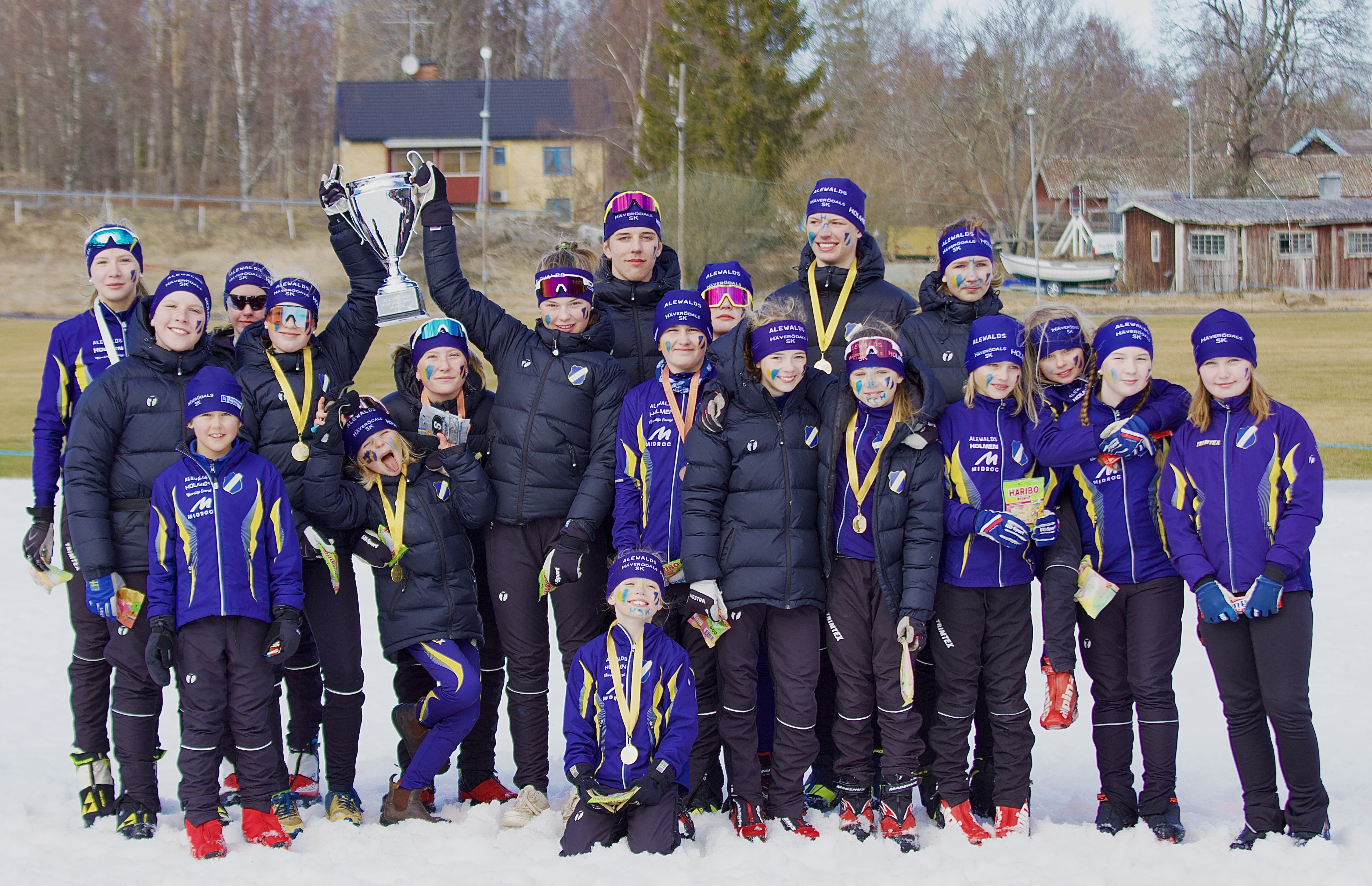 En bild