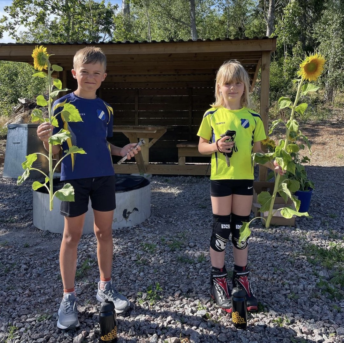 En bild
